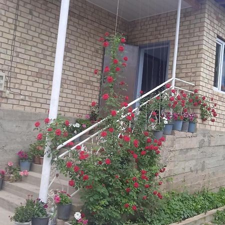 Guest House Kyzyl Alma Arkit Экстерьер фото